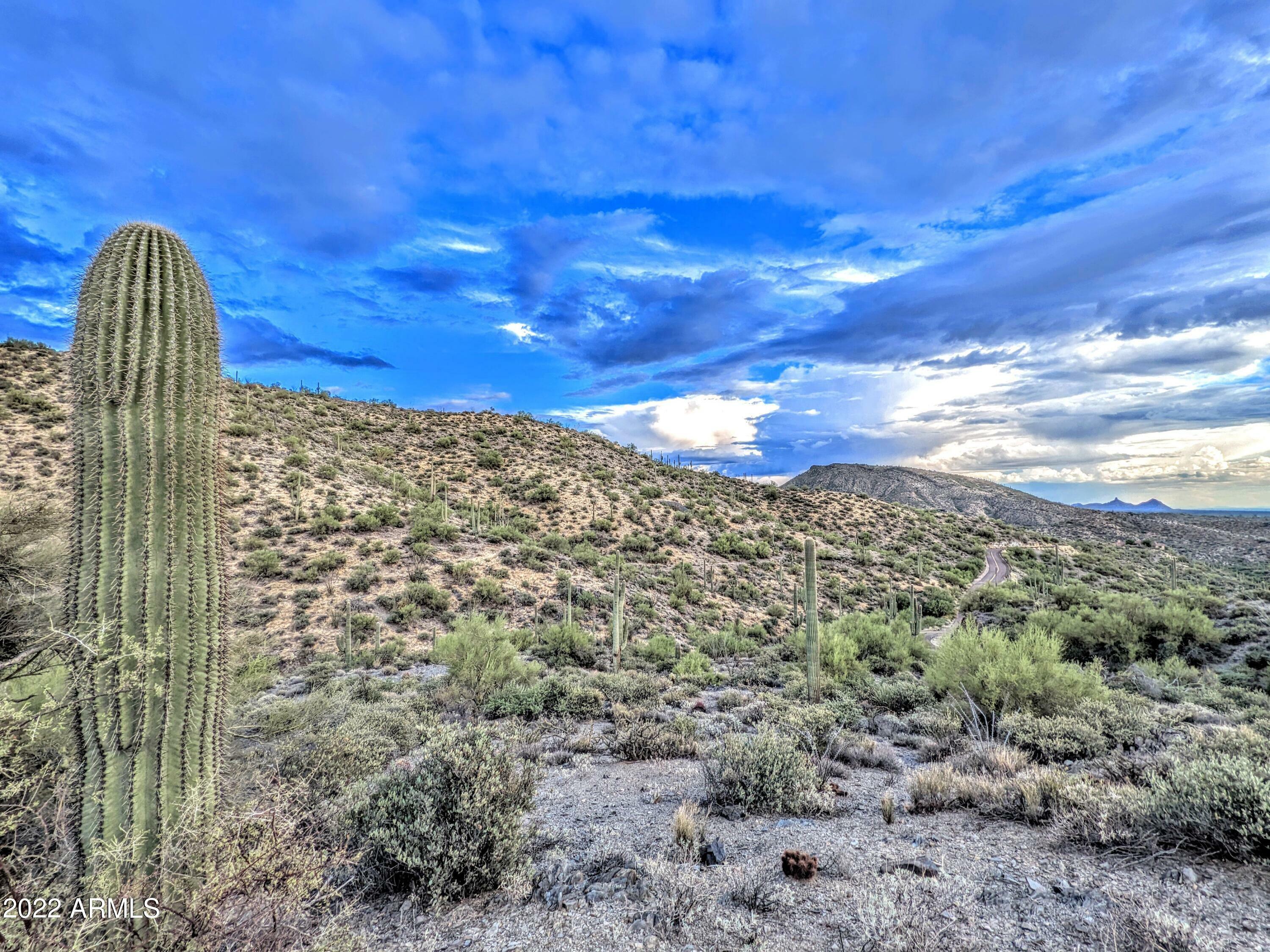 Property Photo:  41197 N Longhorn Drive -  AZ 85262 