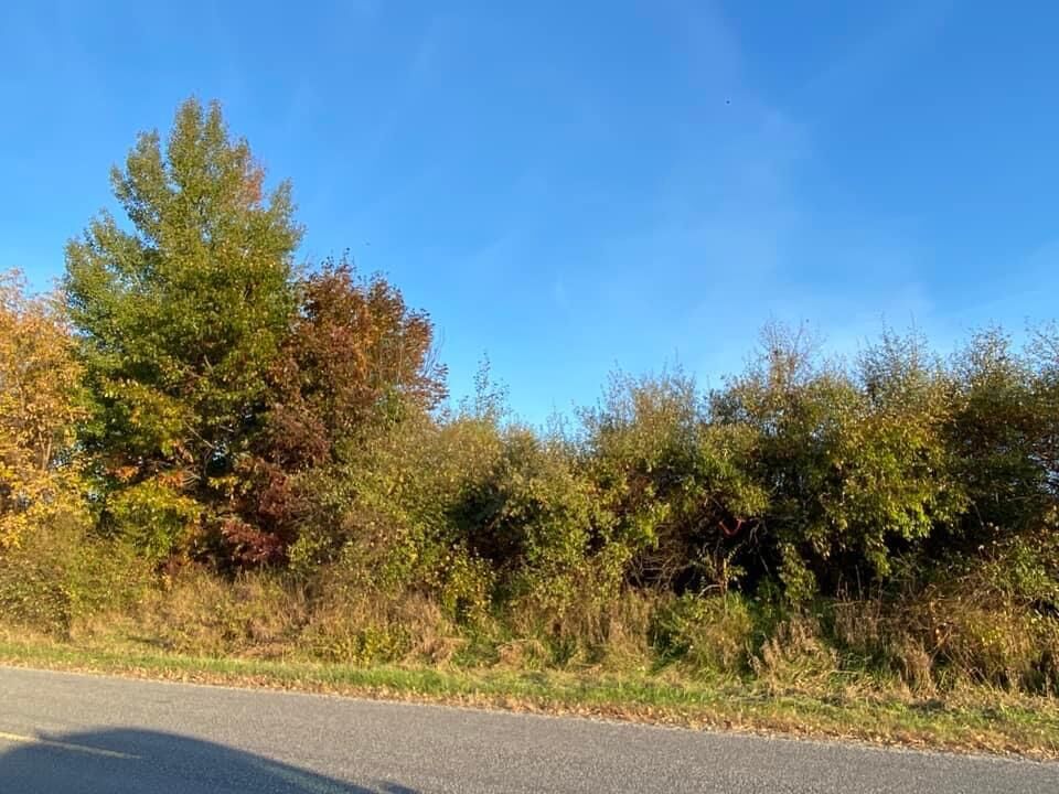 Property Photo:  0 E 112th Street  MI 49329 