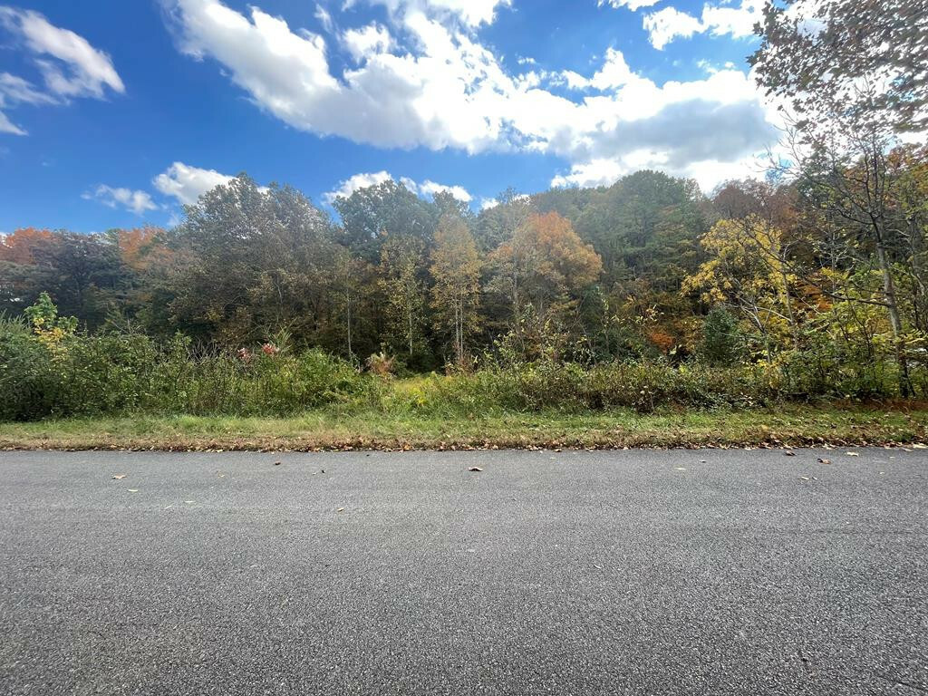 Lot 39 English Fields Drive  Newport TN 37821 photo