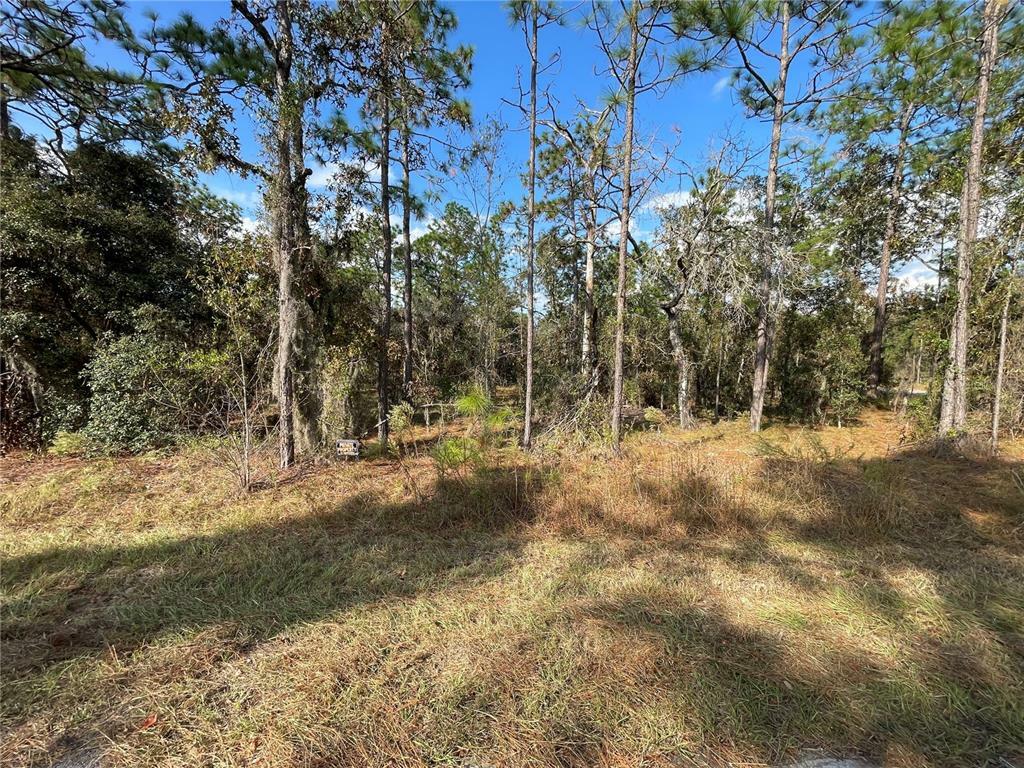 Property Photo: 0 NW Foxglove Lane FL 34431