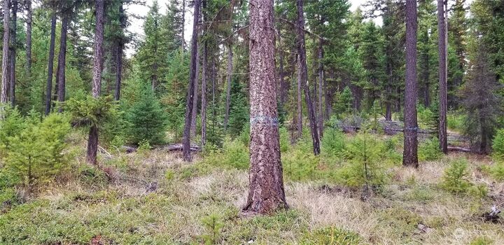 Property Photo:  152 Gardner Creek Road  WA 99166 