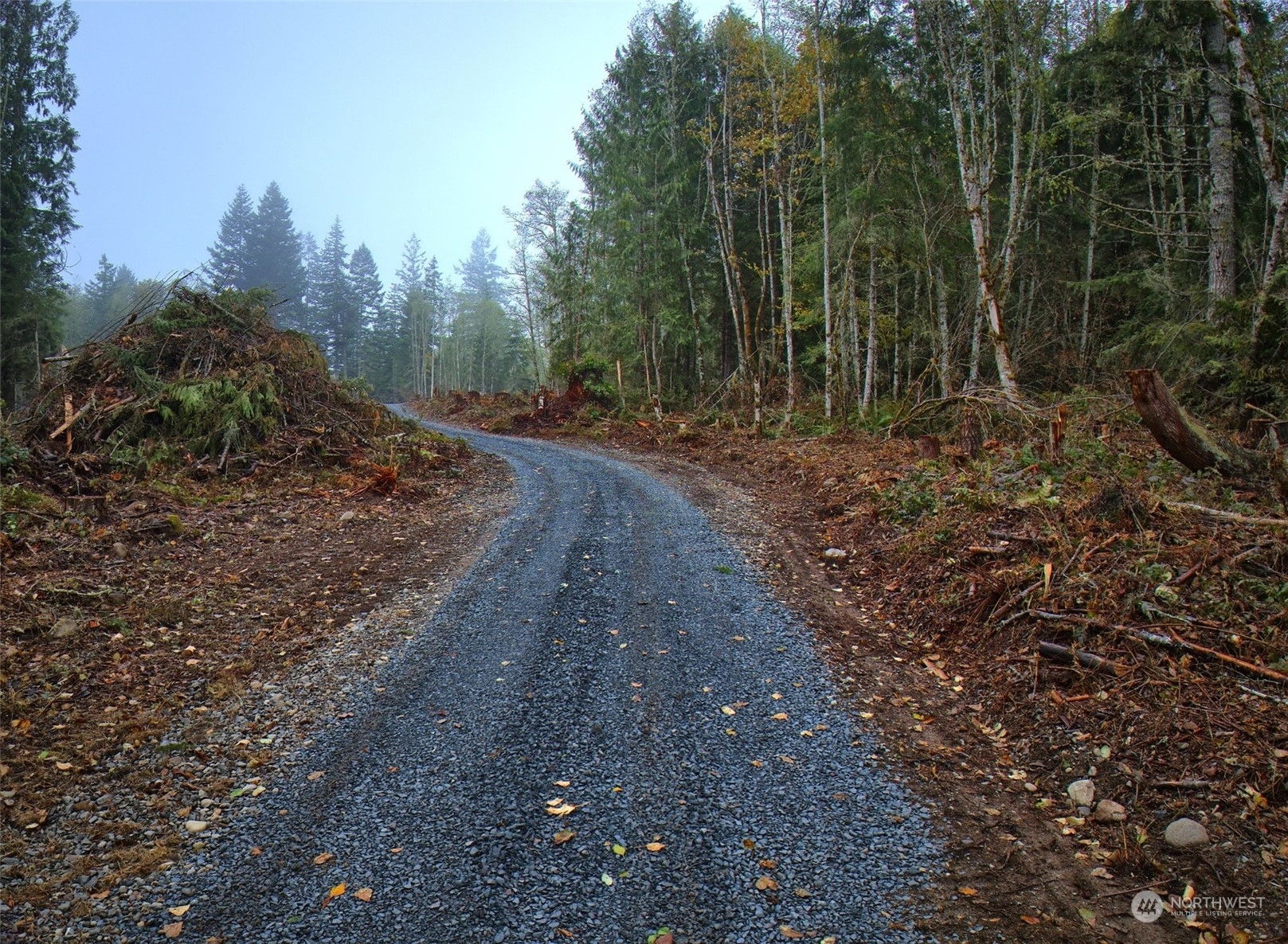 Property Photo:  49208 Alder Cutoff Road E  WA 98328 