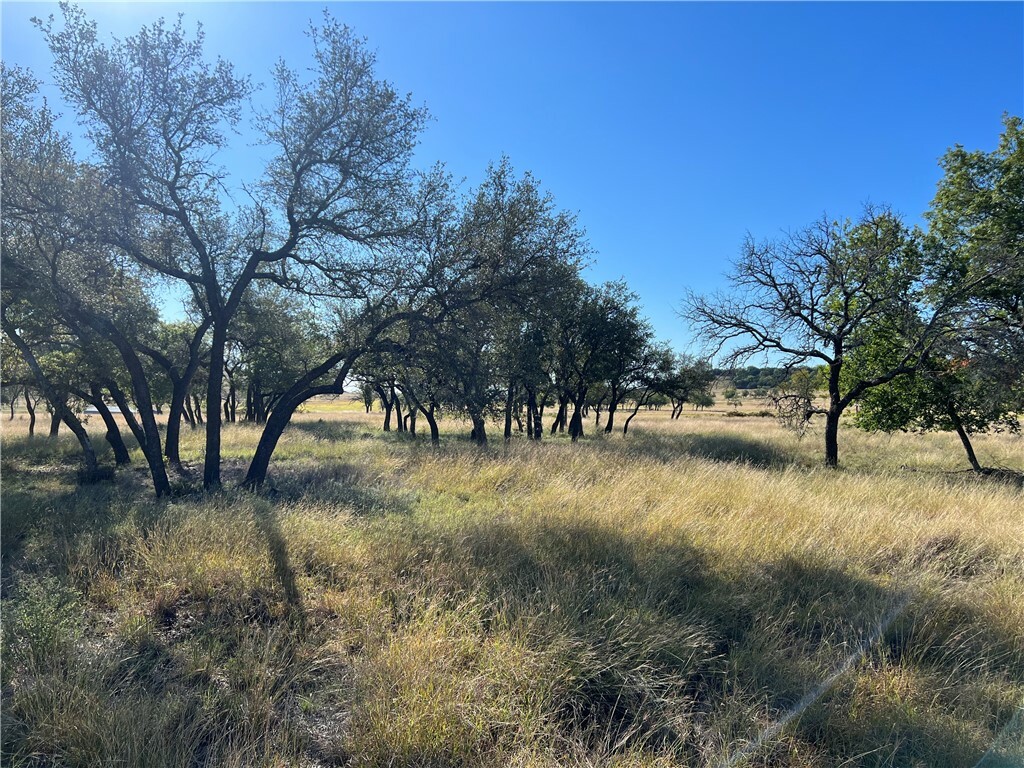 Property Photo:  6300 Farm Road 1690  TX 76528 