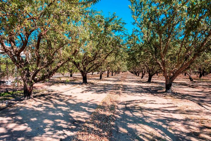Property Photo: