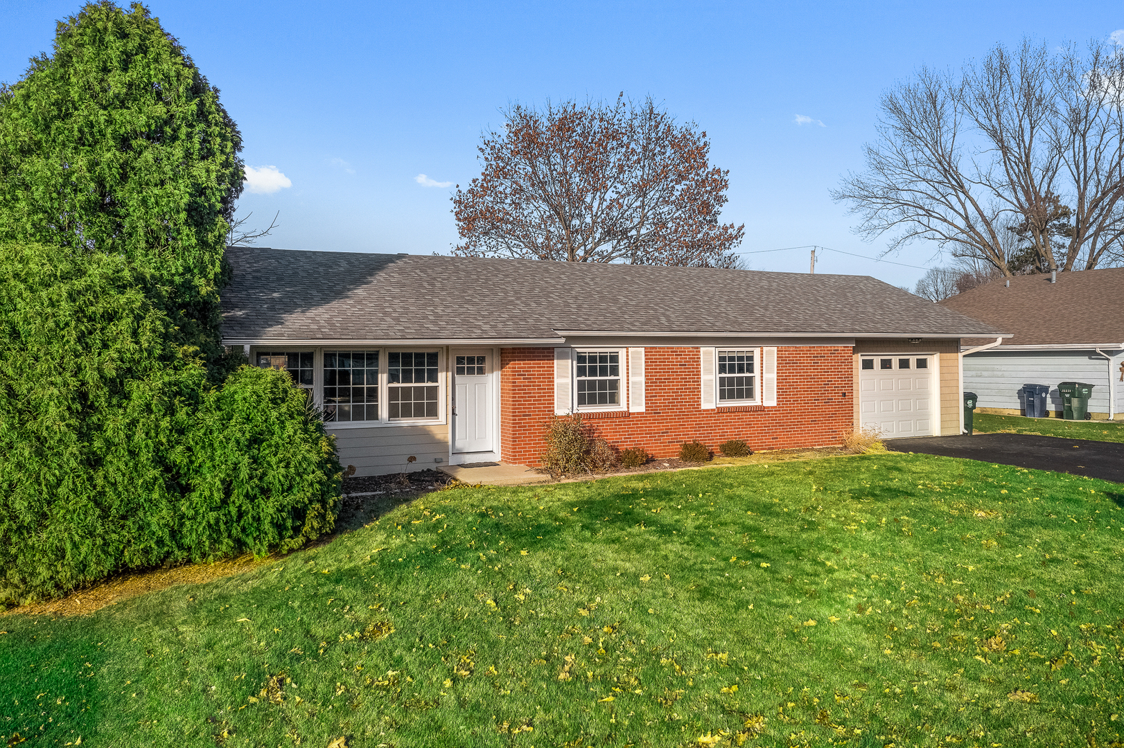 Property Photo:  438 Ridge Street  IL 60102 