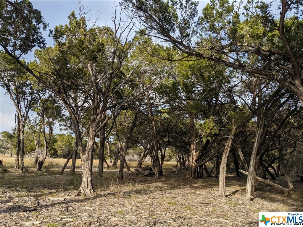 Property Photo:  Lot 52 Clearwater Canyon Road  TX 78003 