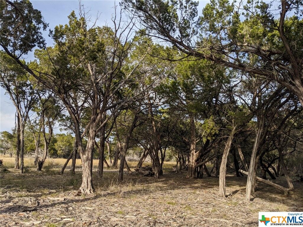 Property Photo: Lot 52 Clearwater Canyon Road TX 78003