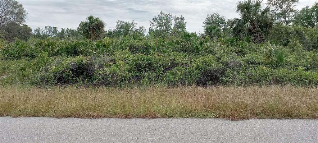 Property Photo:  Vineyard Circle  FL 34288 