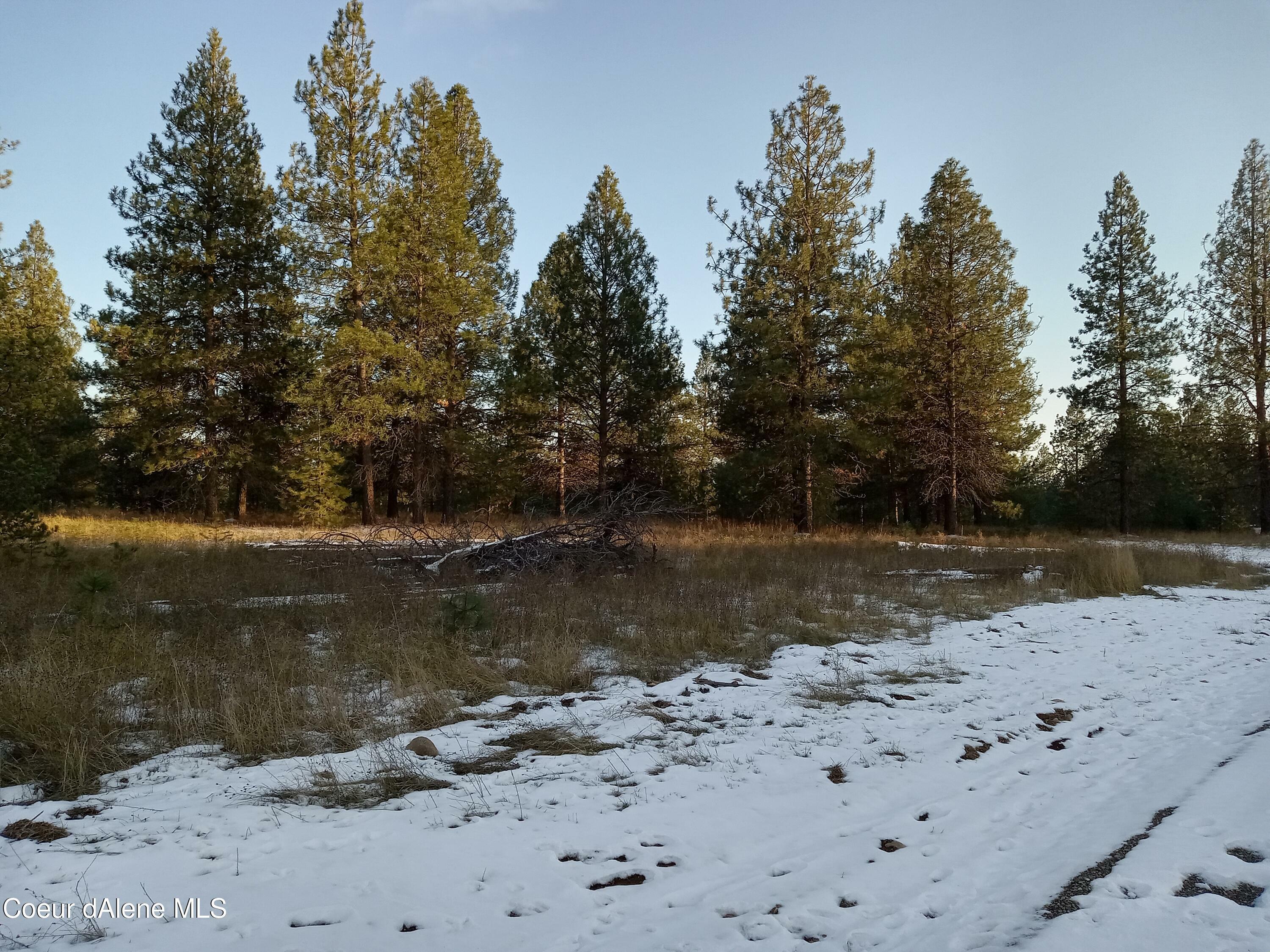Lot 4 Sheep Spring Acres  Athol ID 83801 photo