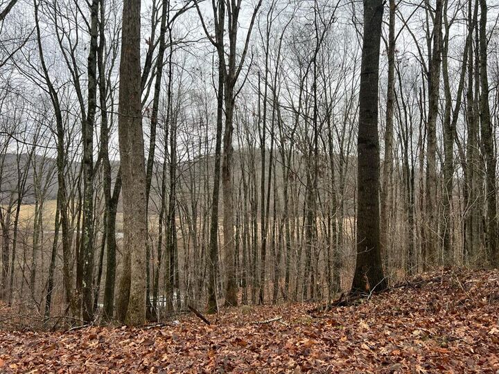 0 Wildcat Hill Road  Gap Mills WV 24941 photo