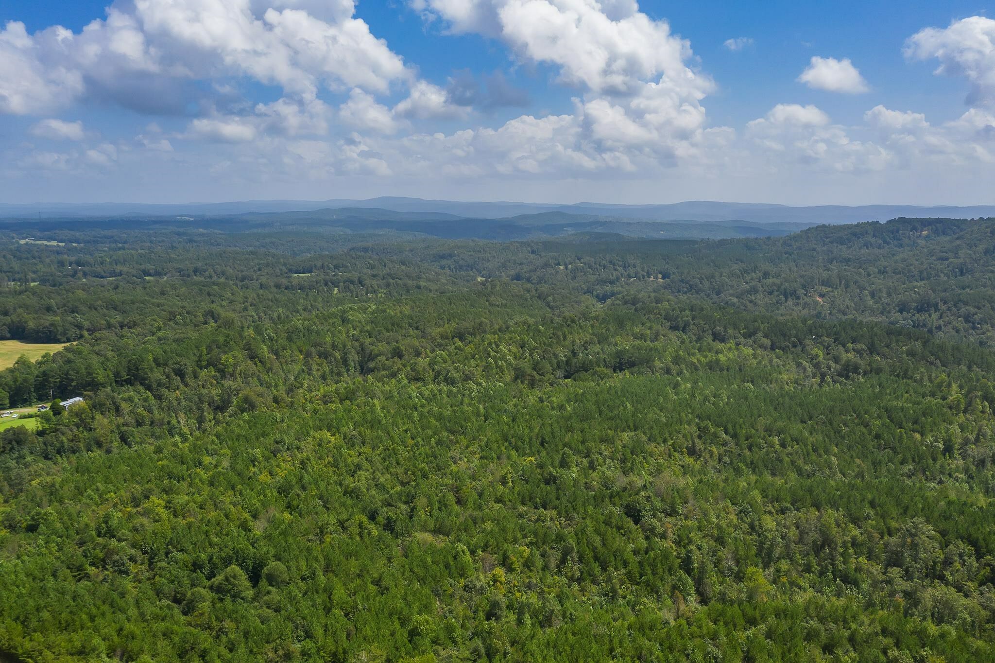 Property Photo: 0 Co Rd 518 AL 35077