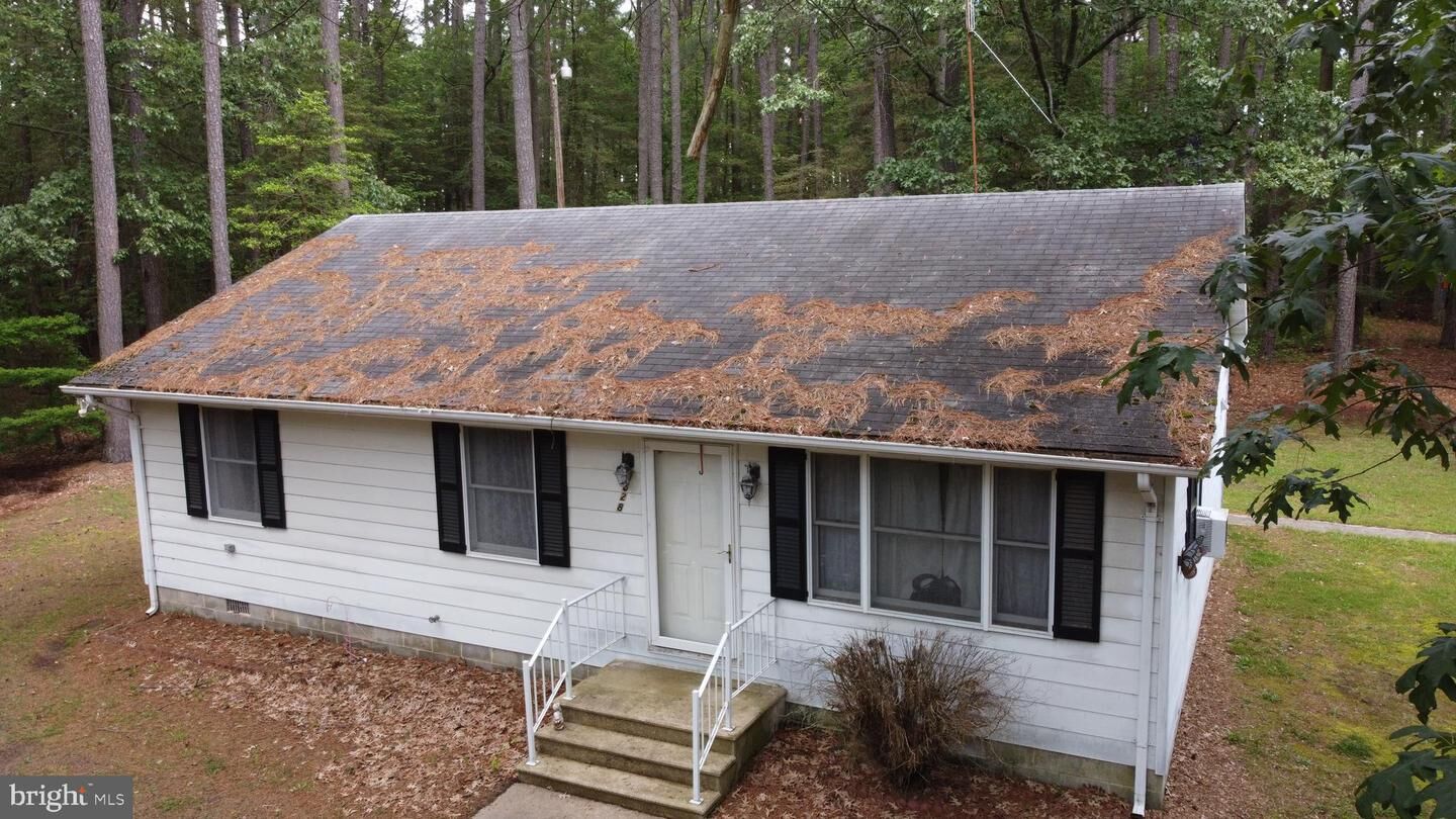 Property Photo: 2528 Toddville Road MD 21672