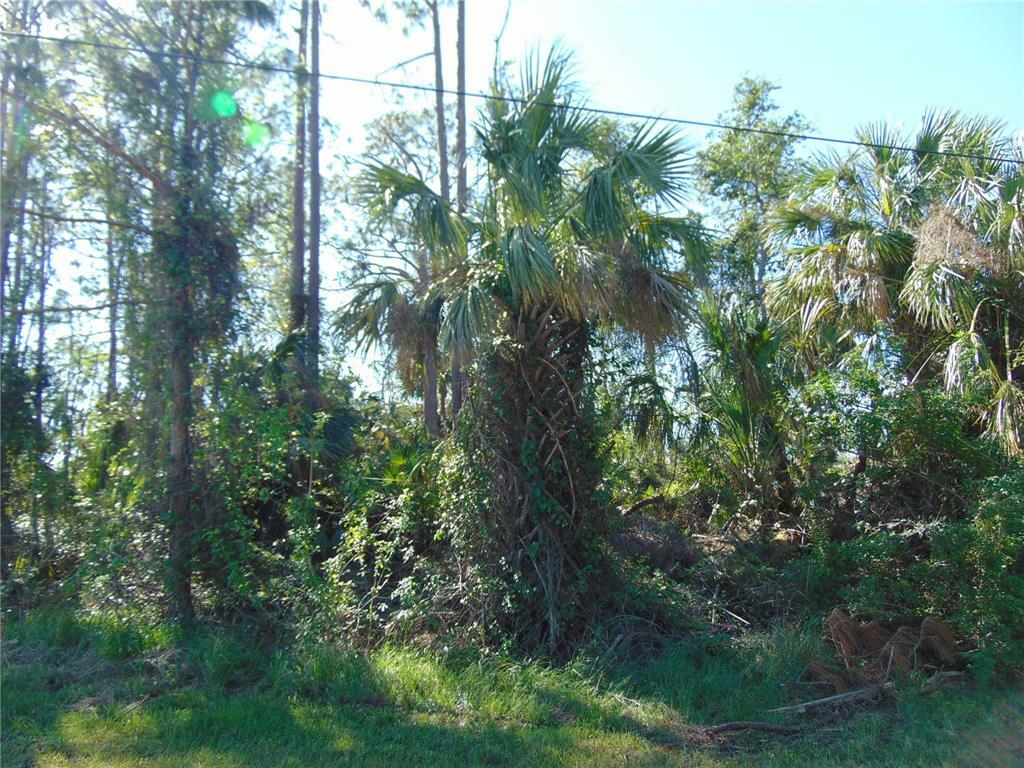 Property Photo:  Mojave Avenue  FL 34288 