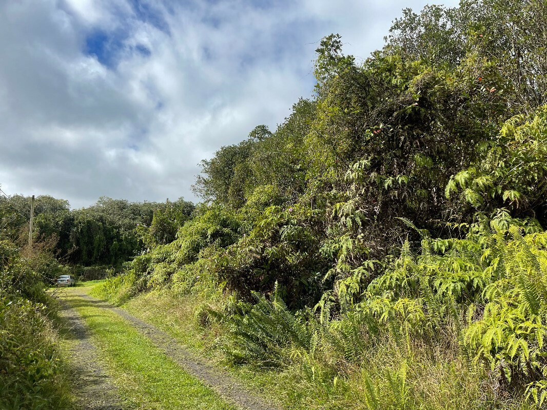 Property Photo: Forest Pl HI 96771