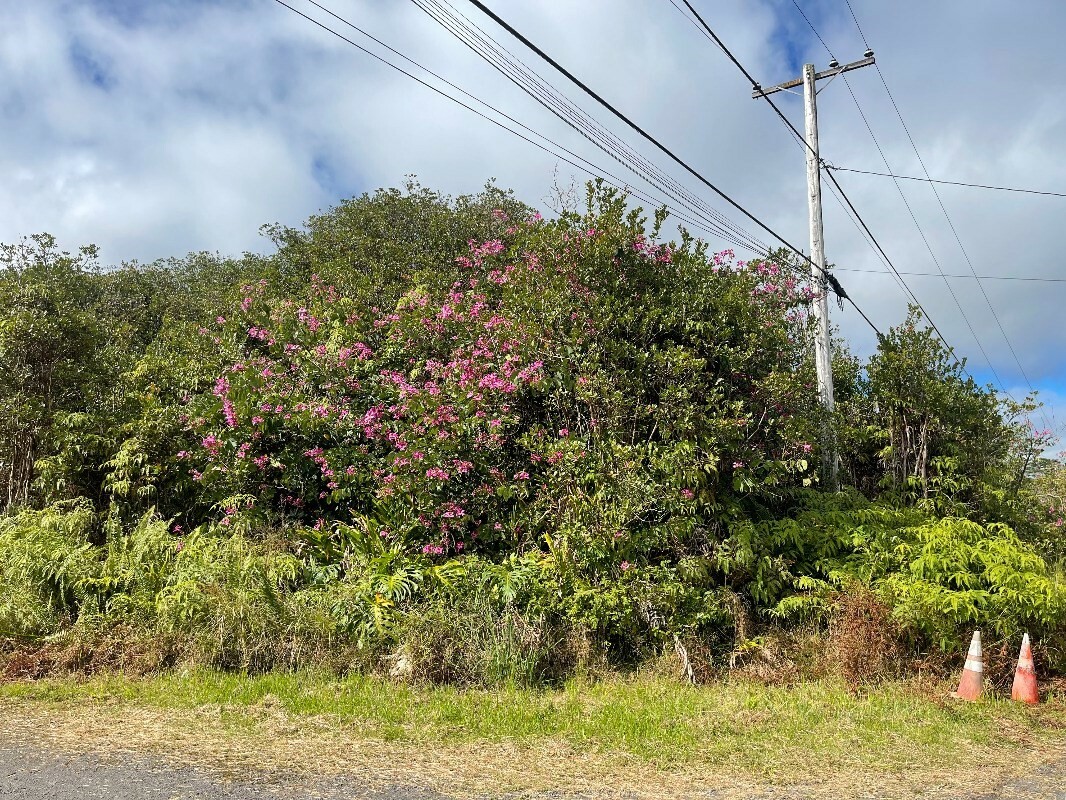Property Photo: Palm Tree Dr HI 96771