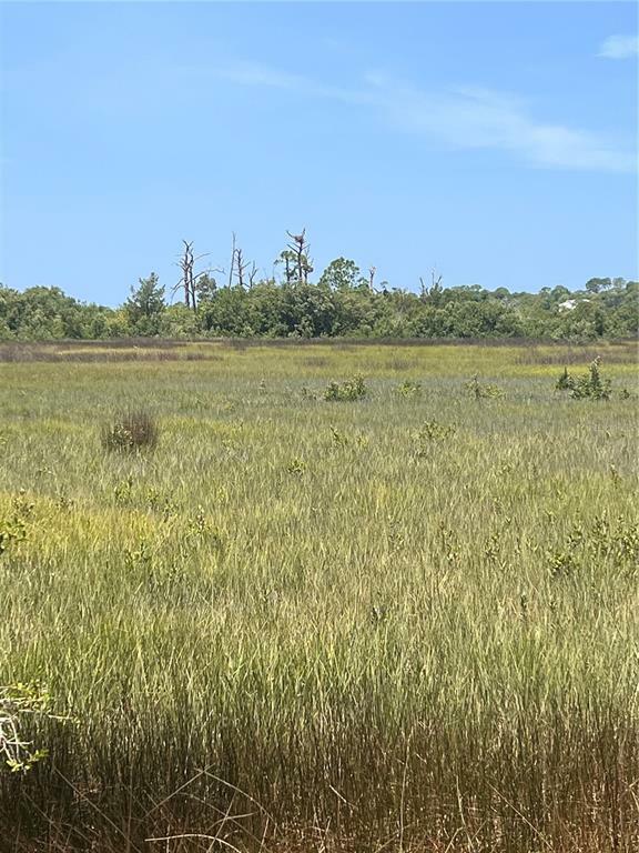 Property Photo:  Lot 10 East Point Road  FL 32625 