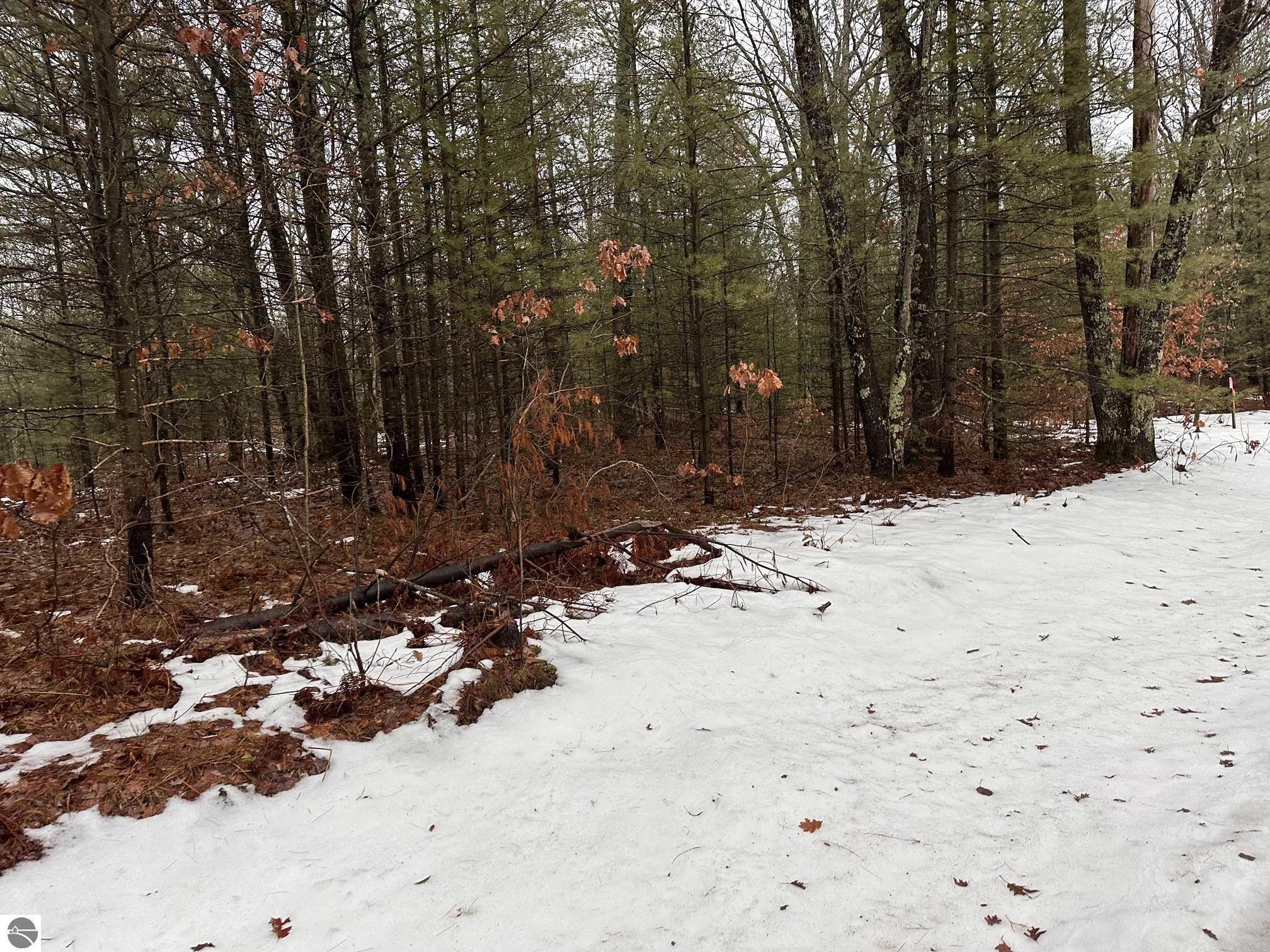 Property Photo:  #E Albrecht  MI 49643 