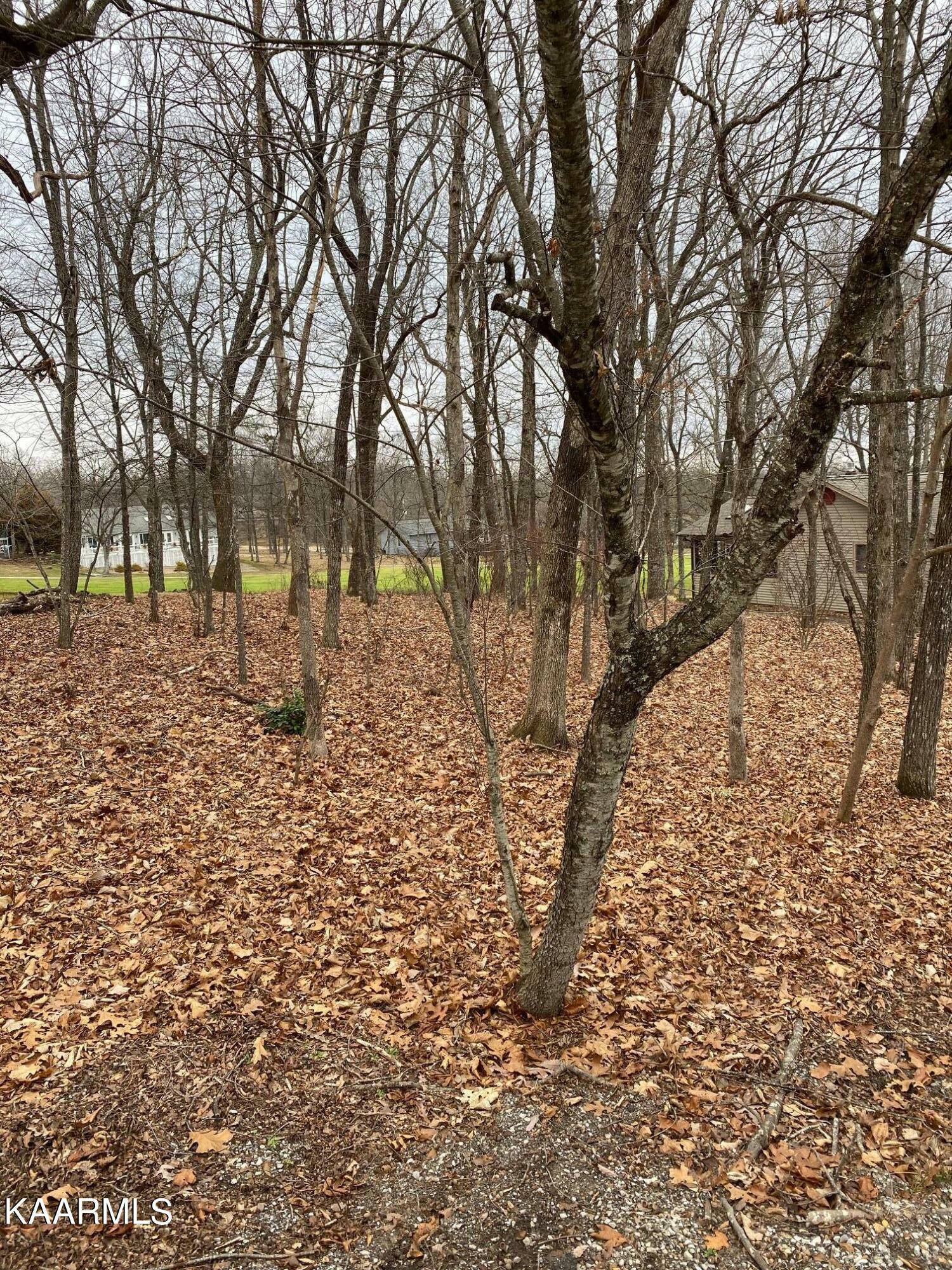 Property Photo:  164 Baltusrol Rd  TN 38558 