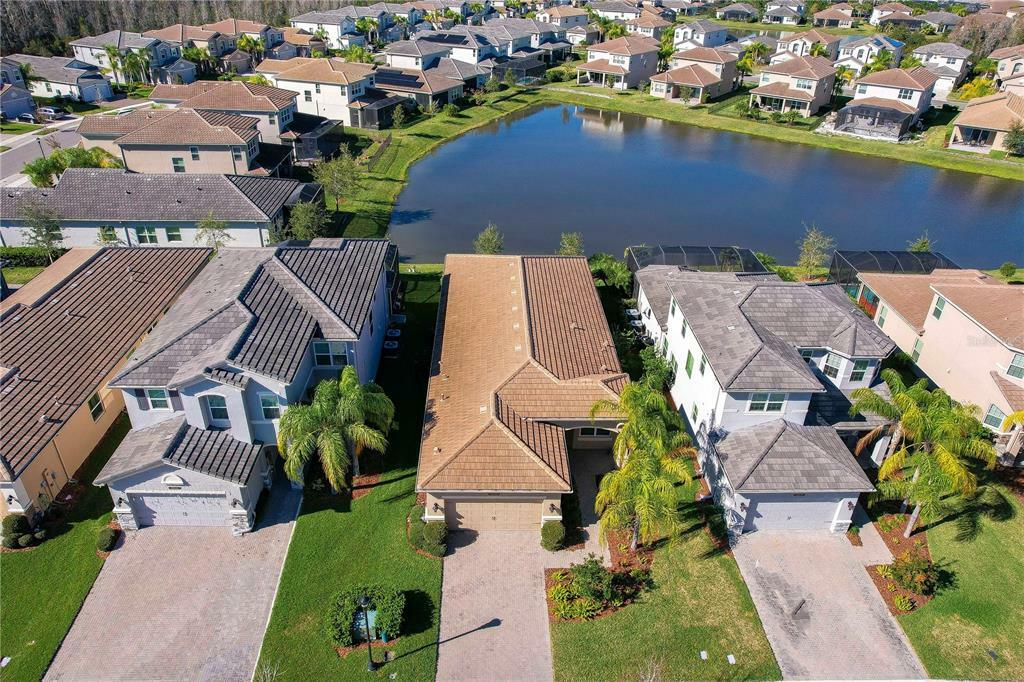 Property Photo:  30987 Lindentree Drive  FL 33543 