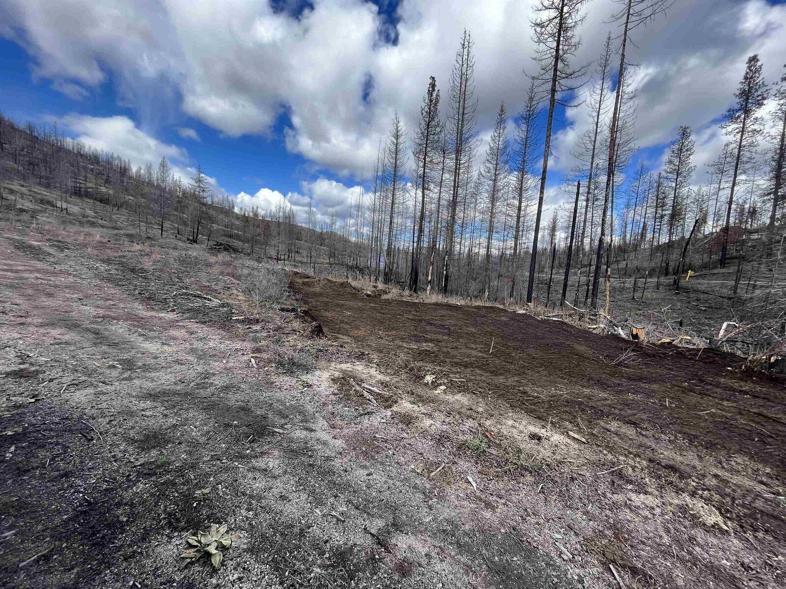 Property Photo: Lot 9 Rail Canyon Rd WA 99173