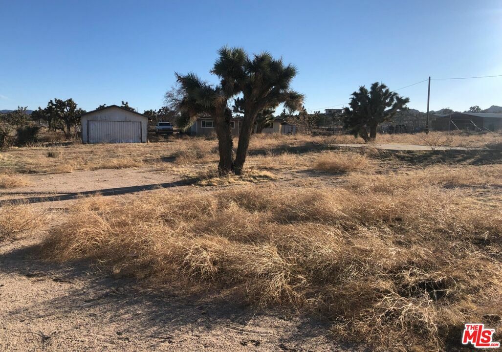 57215   Buena Vista Rd  Yucca Valley CA 92284 photo