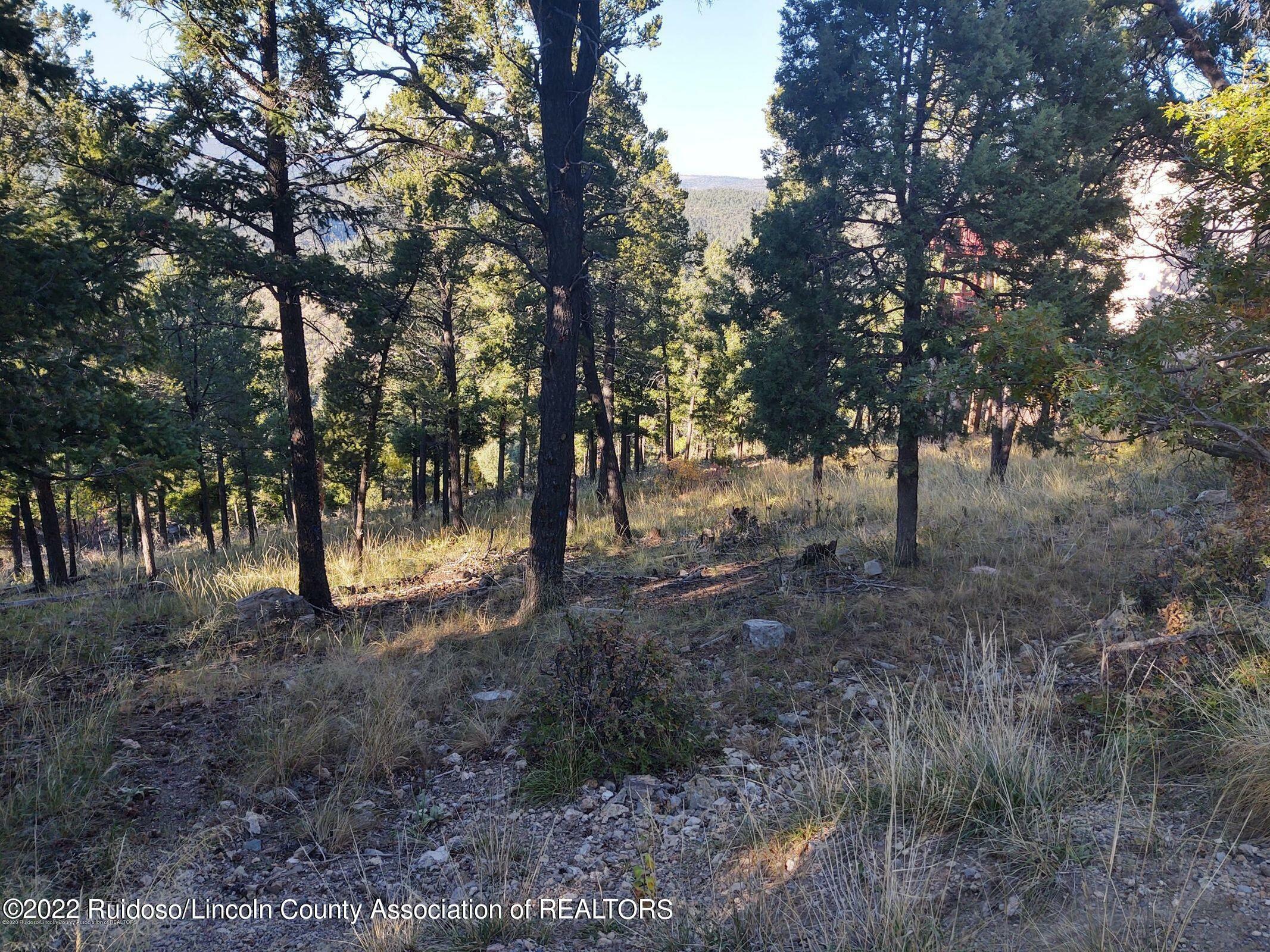 Property Photo:  264 Crown Drive  NM 88345 