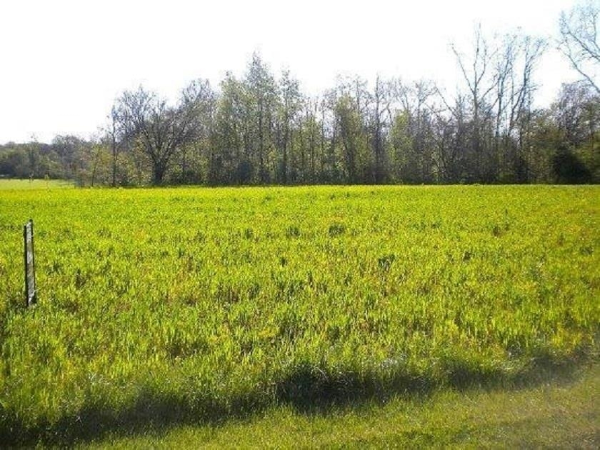 Property Photo:  9807 Oak Ridge Rd  MI 48460 