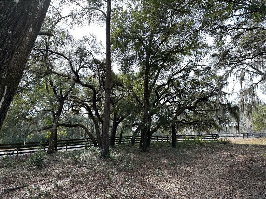 Property Photo:  Lot 1 Griffin Avenue  FL 32159 