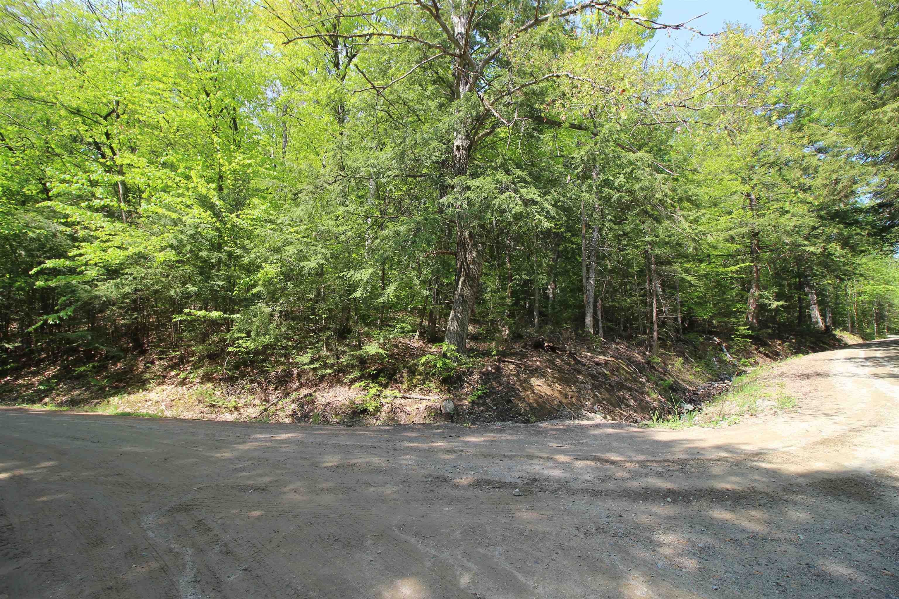 Property Photo: 201-071 Hanover Drive NH 03784