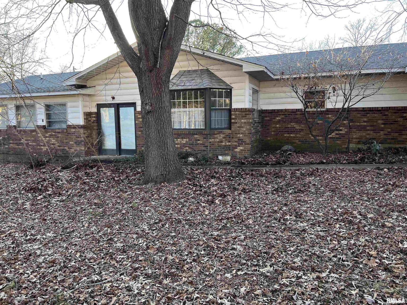 Property Photo:  403 N Wilson Street  IL 62949 