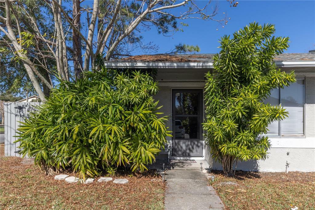 Property Photo:  1010 Dolphin Drive  FL 34787 