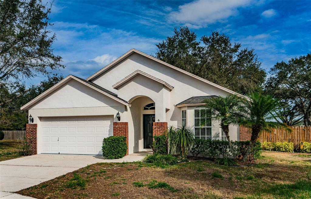 Property Photo: 101 Citrus Landing Drive FL 33563