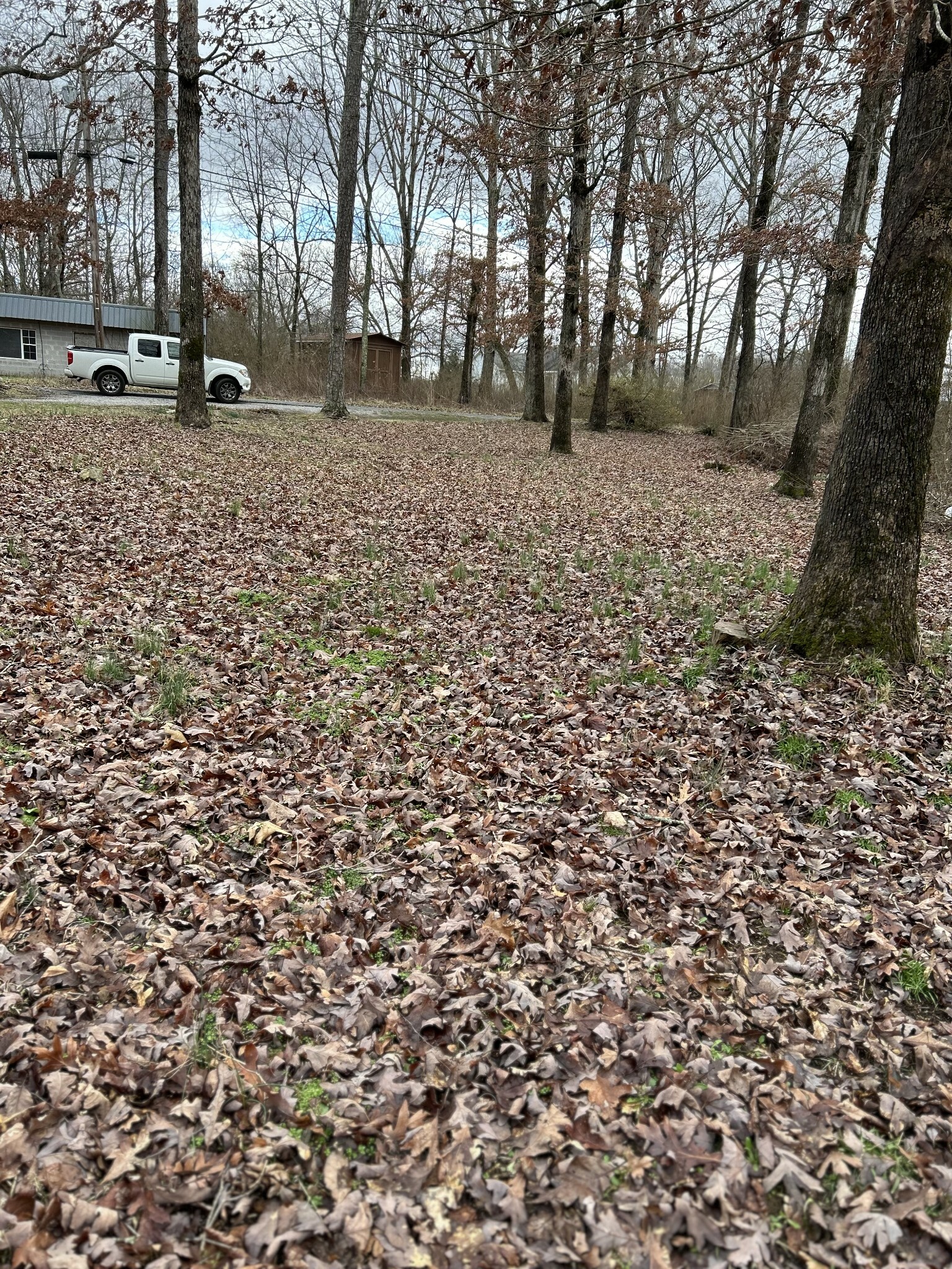 Property Photo:  89 N  40th Ave  TN 37339 