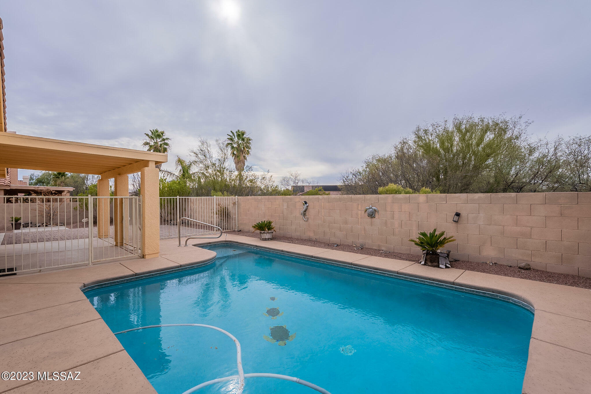 Property Photo:  11441 N Scioto Avenue  AZ 85737 