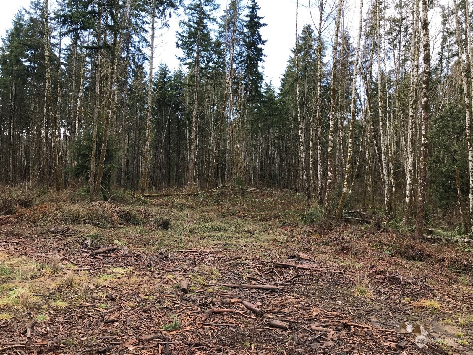 Property Photo:  0 Lot 5 NE Sawdust Hill Road  WA 98370 