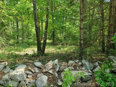 Property Photo:  39 Tatro Road  CT 06351 