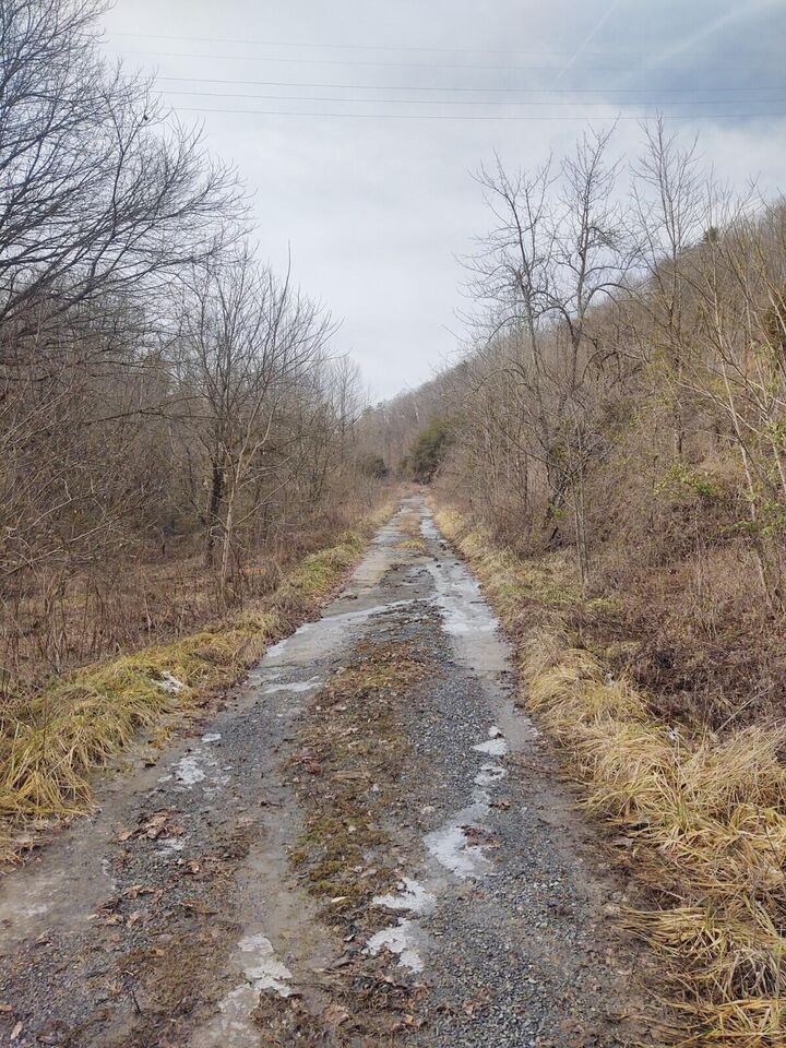 Tbd Bear Hollow Road  Bristol TN 37620 photo