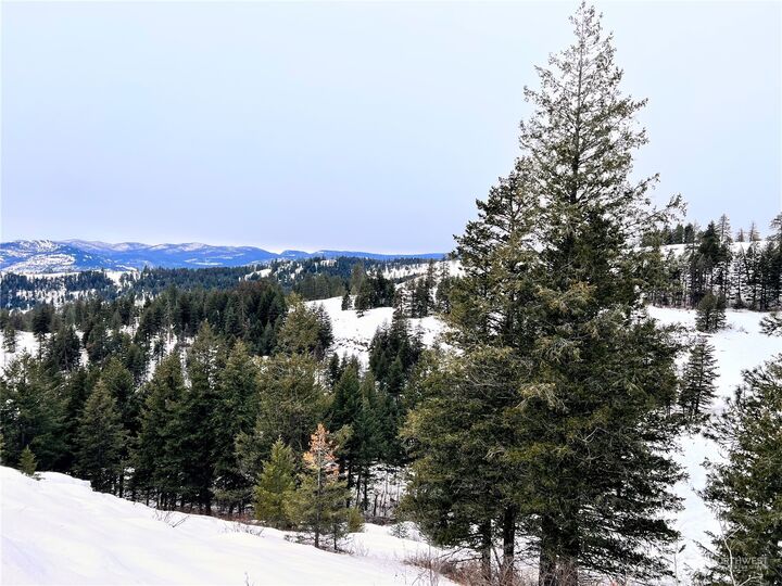 Property Photo:  0 Lot 162 Union Ridge Road  WA 99166 