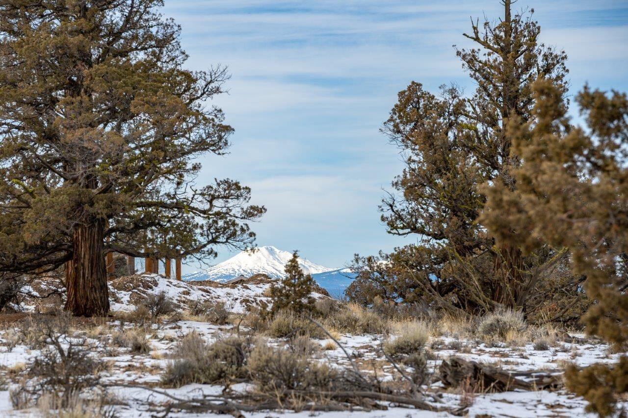 Property Photo: 25480 Bachelor Lane OR 97701