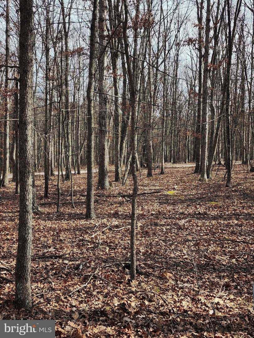 Property Photo: Saw Mill Road WV 26711