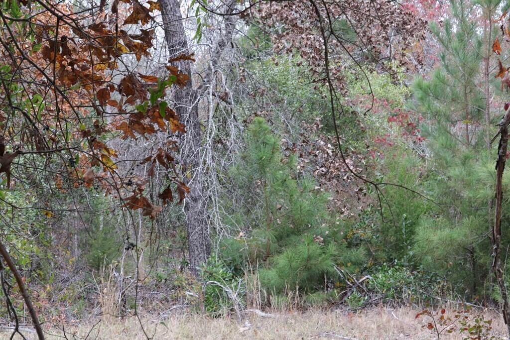 Property Photo:  18.23 Ac 18.23 Middle Ground Twin Pine Road  GA 30816 