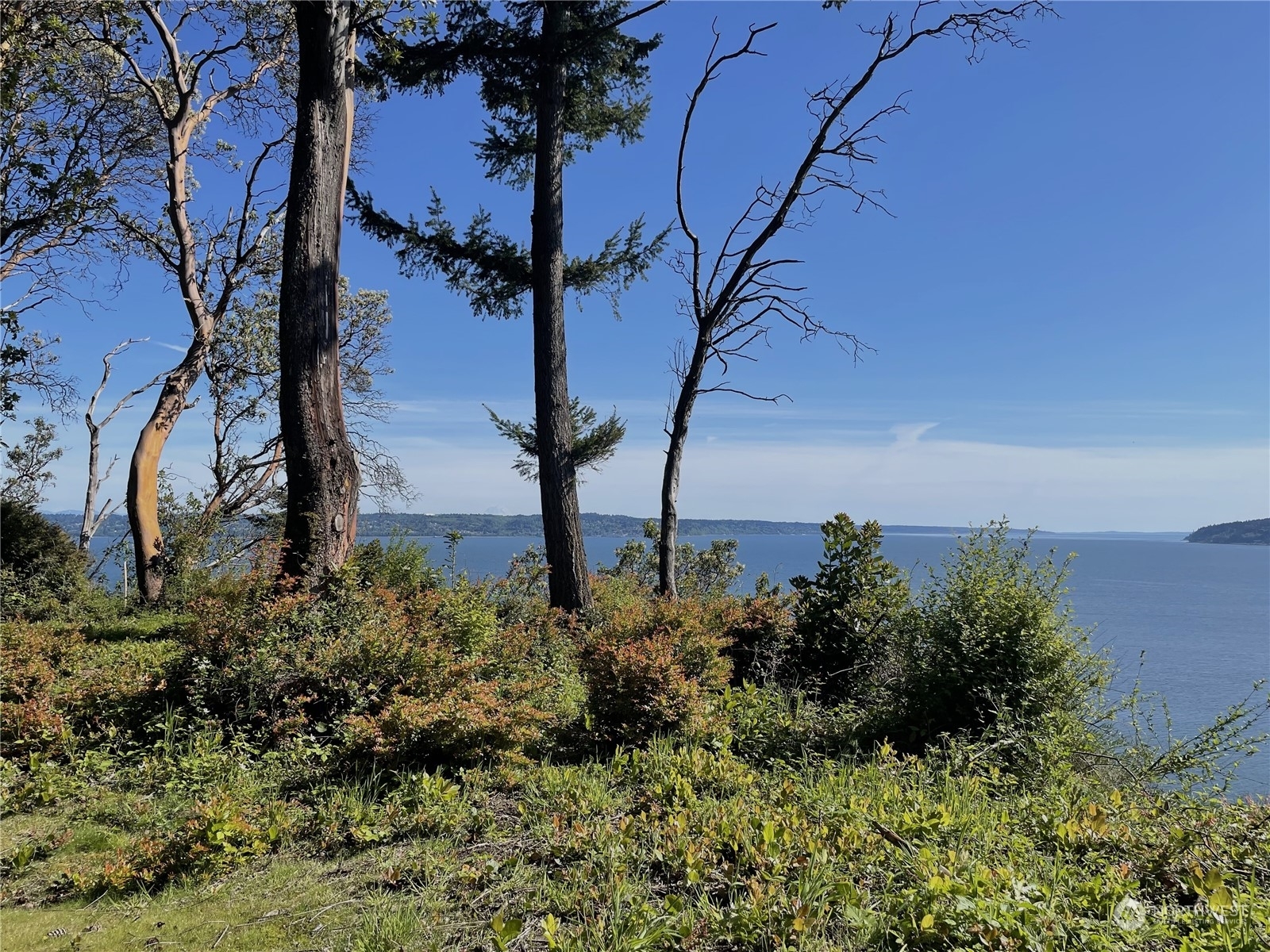 Property Photo:  3839 G Mukilteo Way  WA 98206 