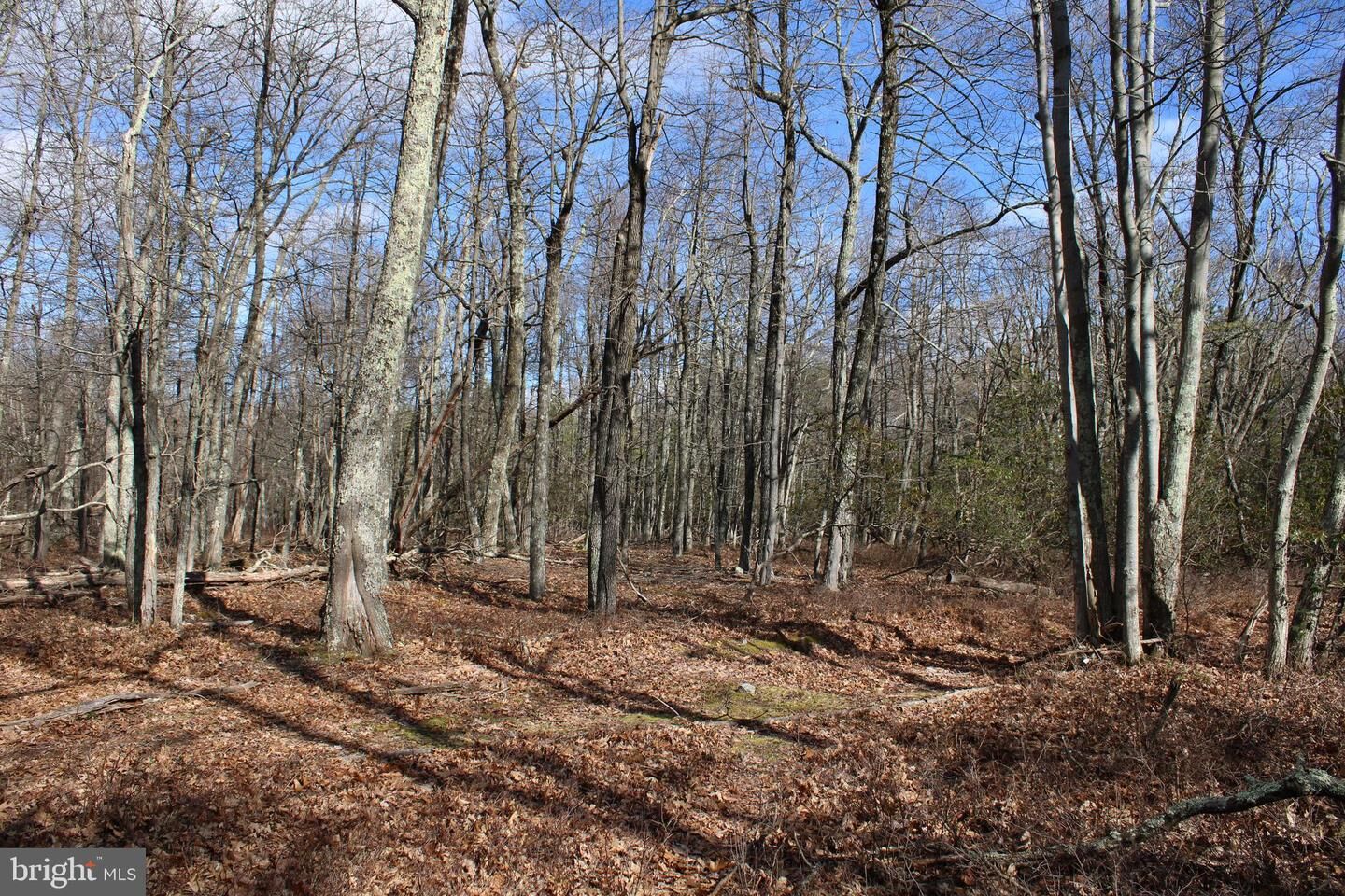 Property Photo: Lot 270 South Branch Mountain Rd WV 26836