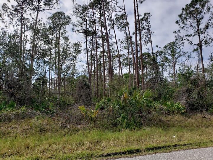 Property Photo:  18321 Placid Avenue  FL 33948