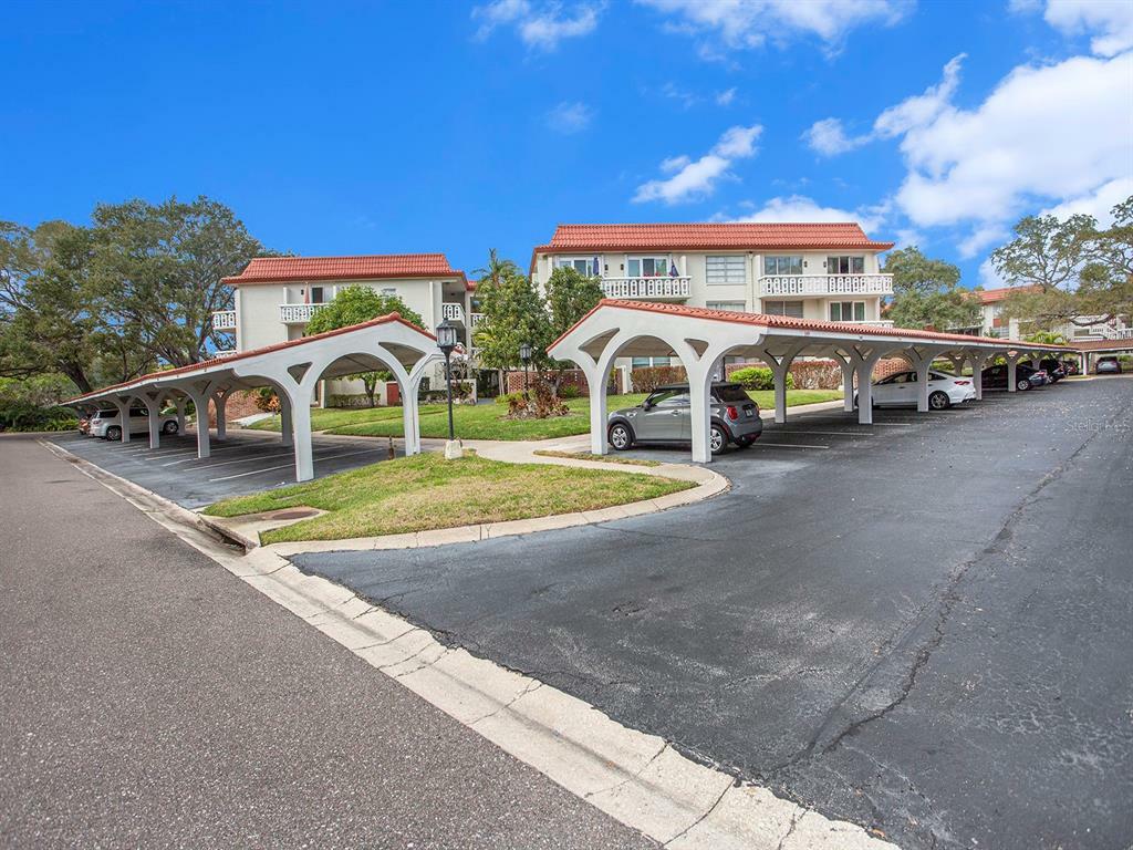 Property Photo: 1009 Pearce Drive 310 FL 33764