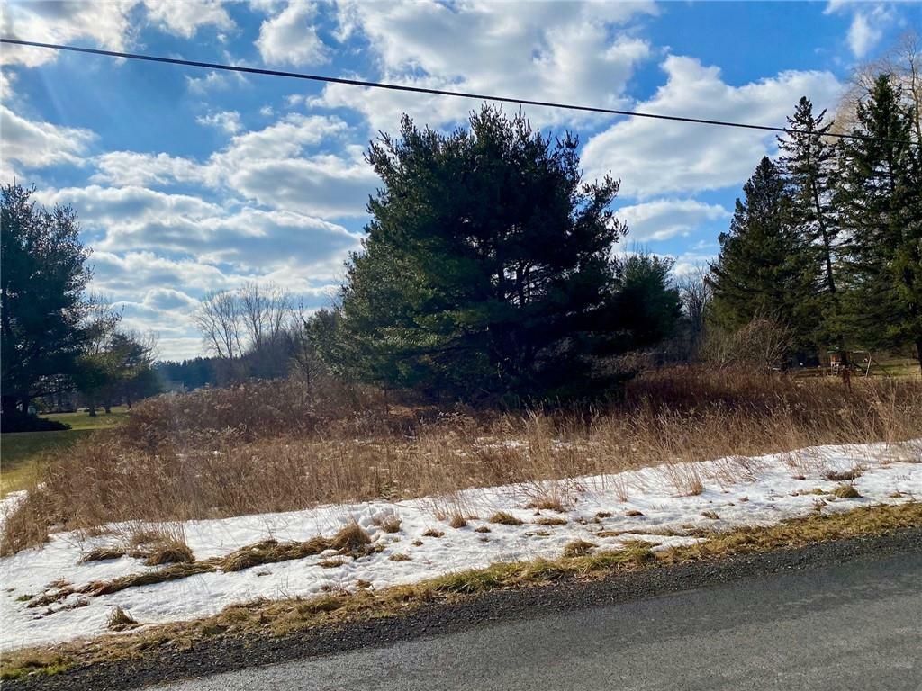 Property Photo:  2216 West Brook Road  NY 13148 