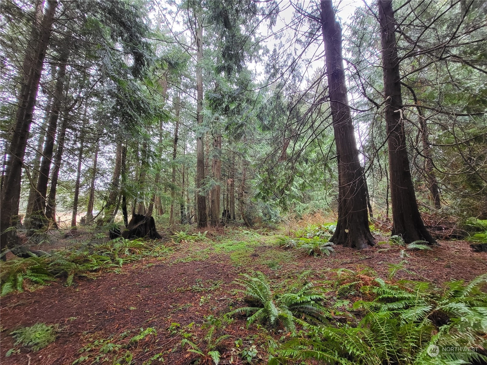 Property Photo: 2803 Park Drive WA 98282