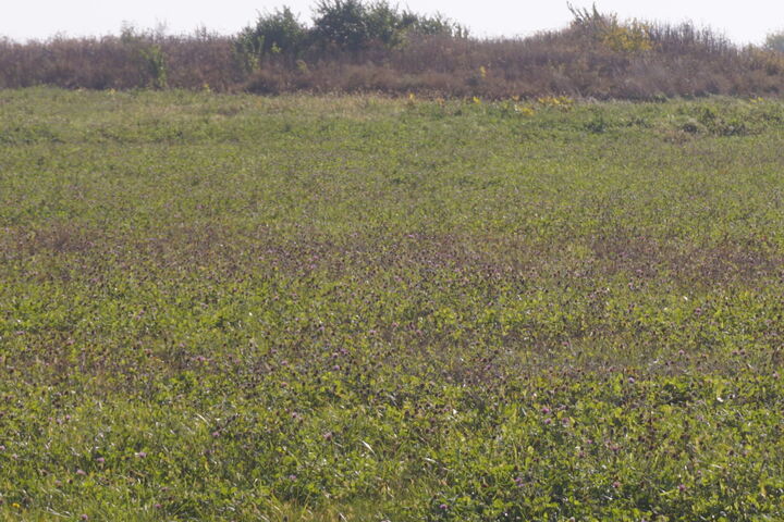 Property Photo: Lot5 S Rt 52 Road IL 60442