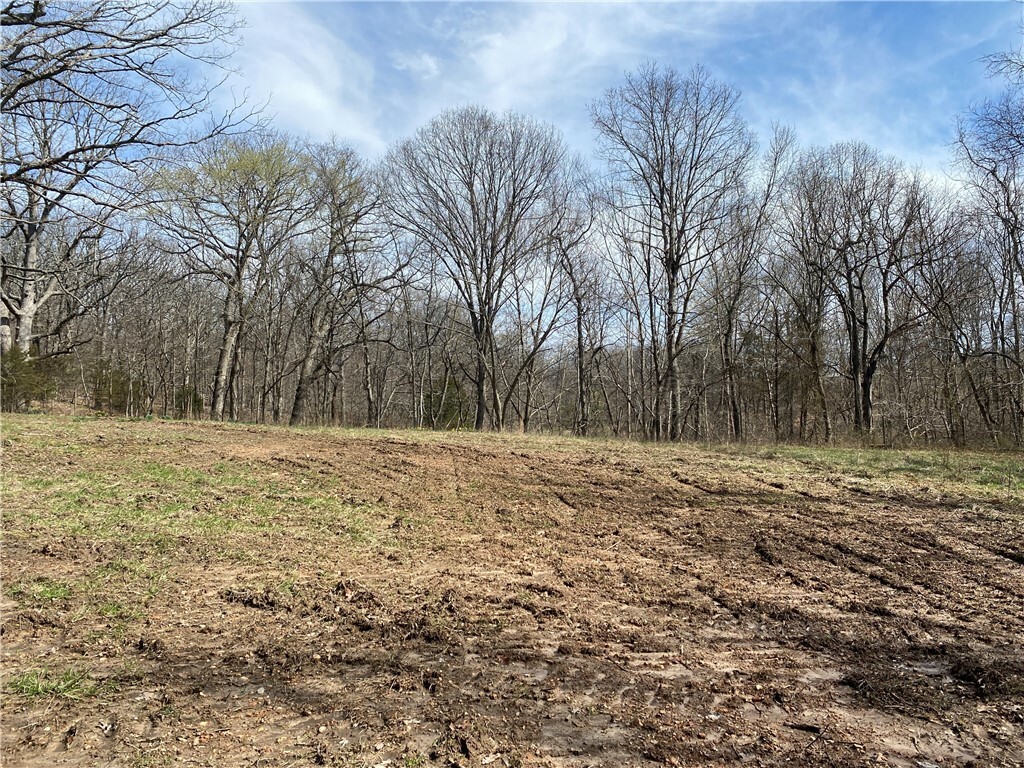 Property Photo:  White Oak Lane  AR 72712 