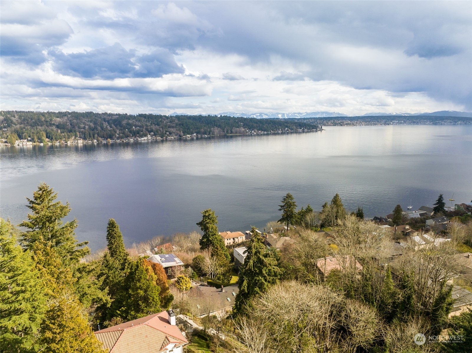 Property Photo:  11501 Lakeside Avenue NE  WA 98125 